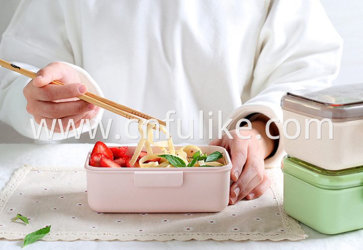 Lunch Box 600ml